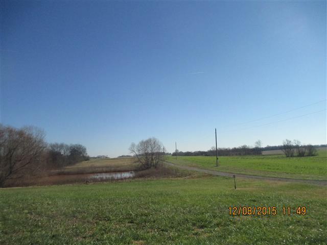 6023 Anthony Road Adams, TN 37010 - Photo 12 of 12