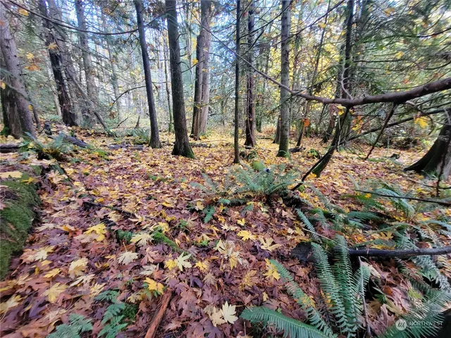 $95,000 | 5376 Reese Hill Road, Sumas, WA 98295