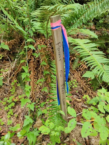 $95,000 | 5376 Reese Hill Road, Sumas, WA 98295