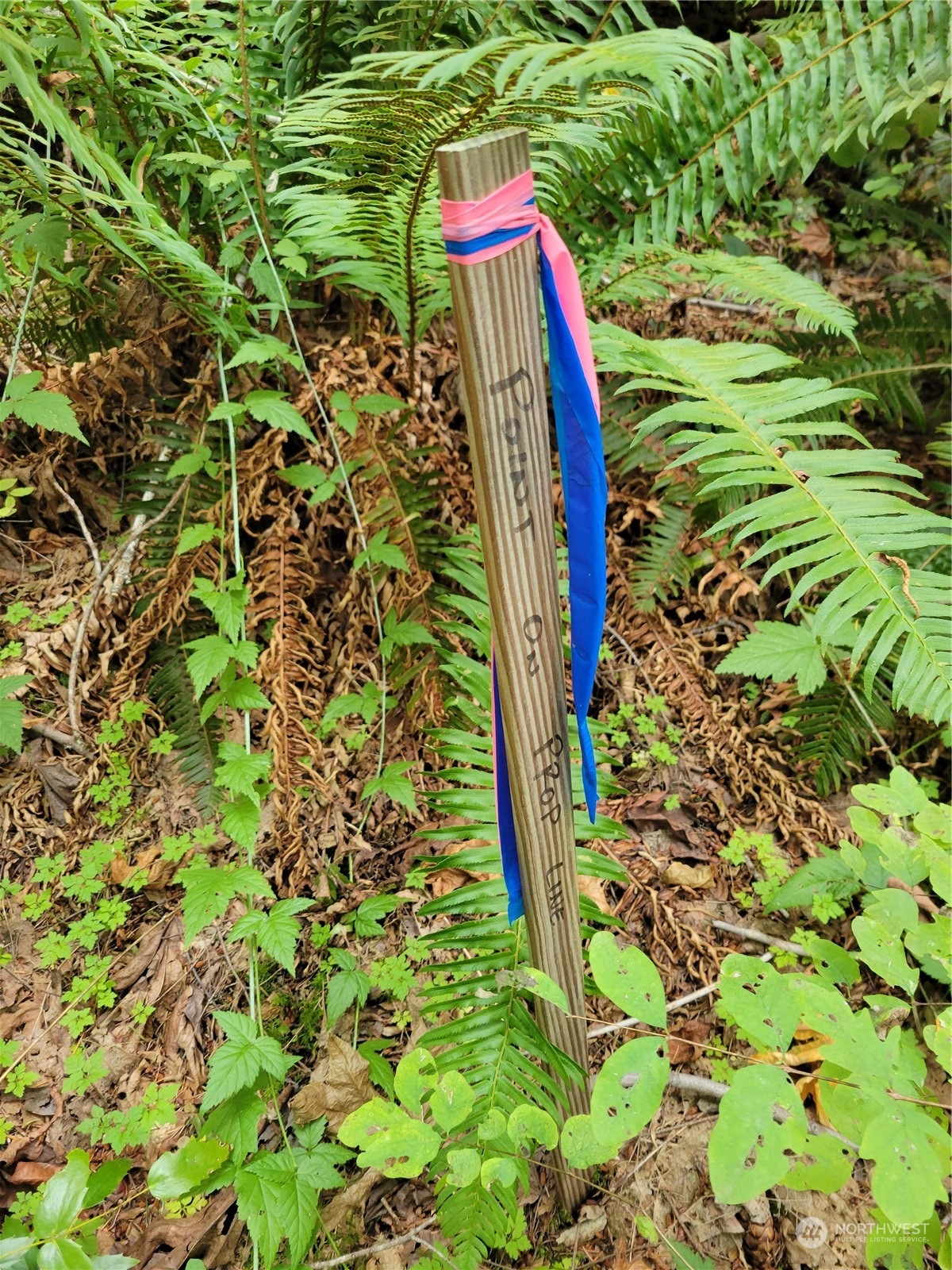 5376 Reese Hill Road Sumas, WA 98295 - Photo 11 of 11