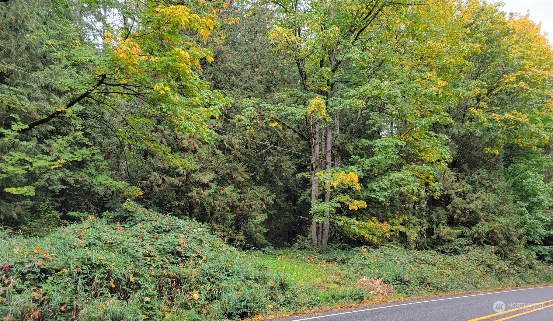 5376 Reese Hill Road Sumas, WA 98295 - Photo 2 of 11