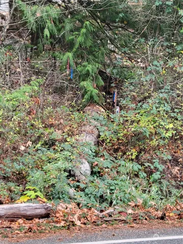 $95,000 | 5376 Reese Hill Road, Sumas, WA 98295