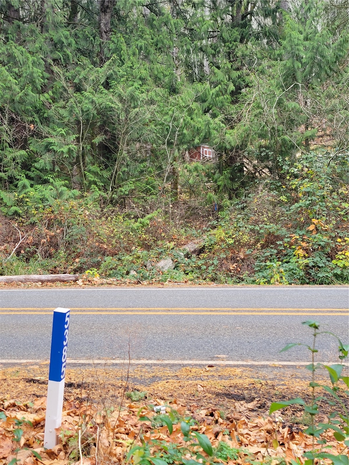 5376 Reese Hill Road Sumas, WA 98295 - Photo 5 of 11