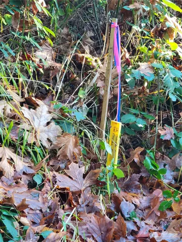 $95,000 | 5376 Reese Hill Road, Sumas, WA 98295