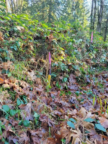 $95,000 | 5376 Reese Hill Road, Sumas, WA 98295