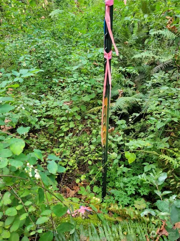 $95,000 | 5376 Reese Hill Road, Sumas, WA 98295