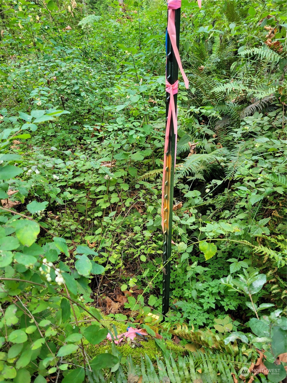 5376 Reese Hill Road Sumas, WA 98295 - Photo 10 of 11