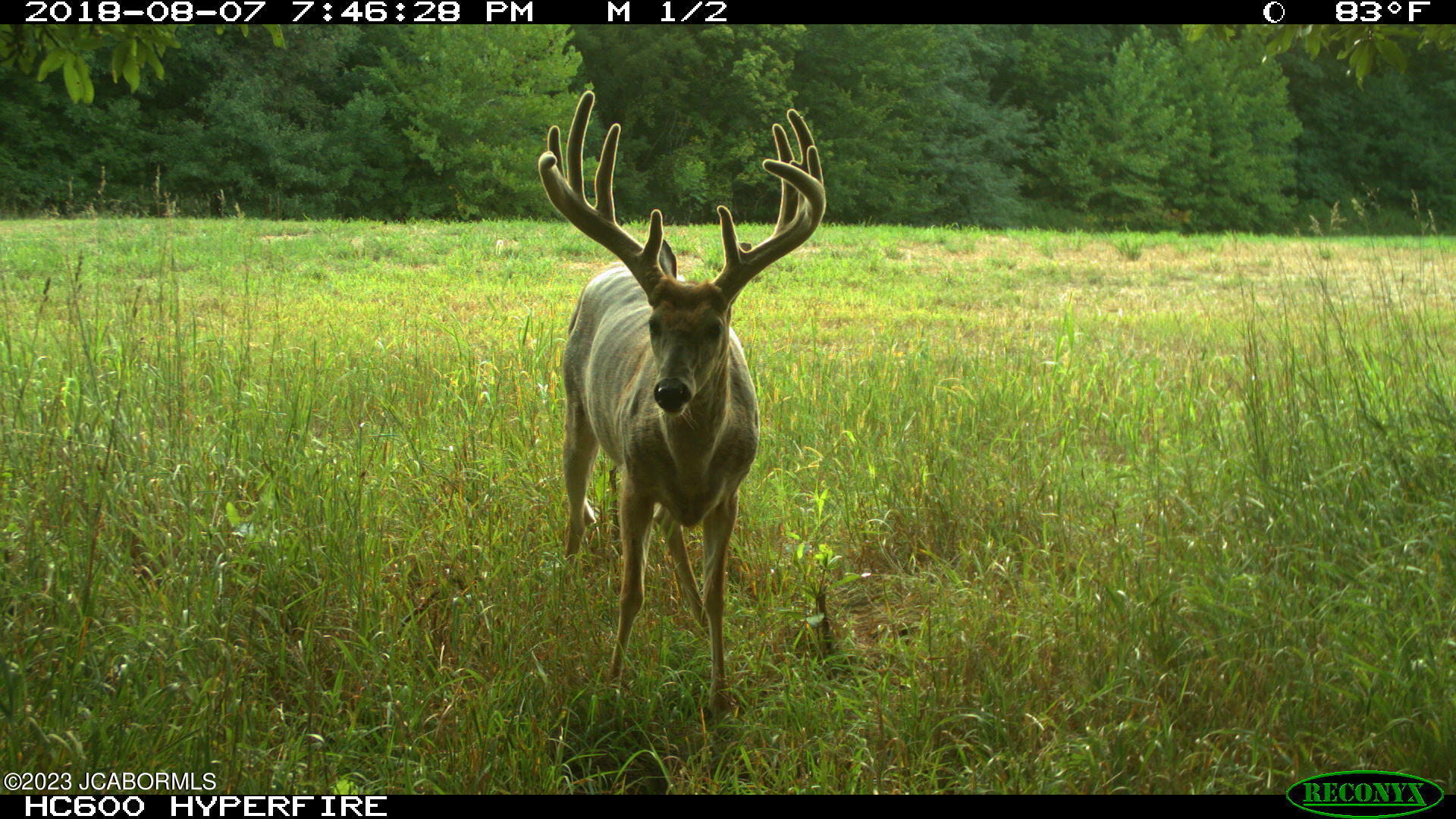 Tbd Big Lick Road Boonville, MO 65233 - Photo 17 of 59