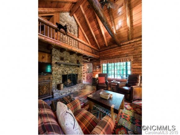 360 Mayapple Mountain Road Canton, NC 28716 - Photo 3 of 24