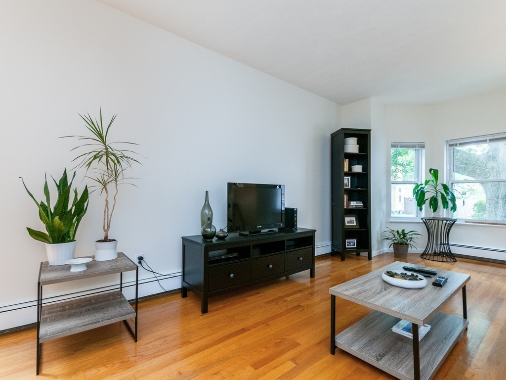 12 Regent Street Cambridge, MA 02140 - Photo 5 of 18 a living room with furniture potted plant and a flat screen tv