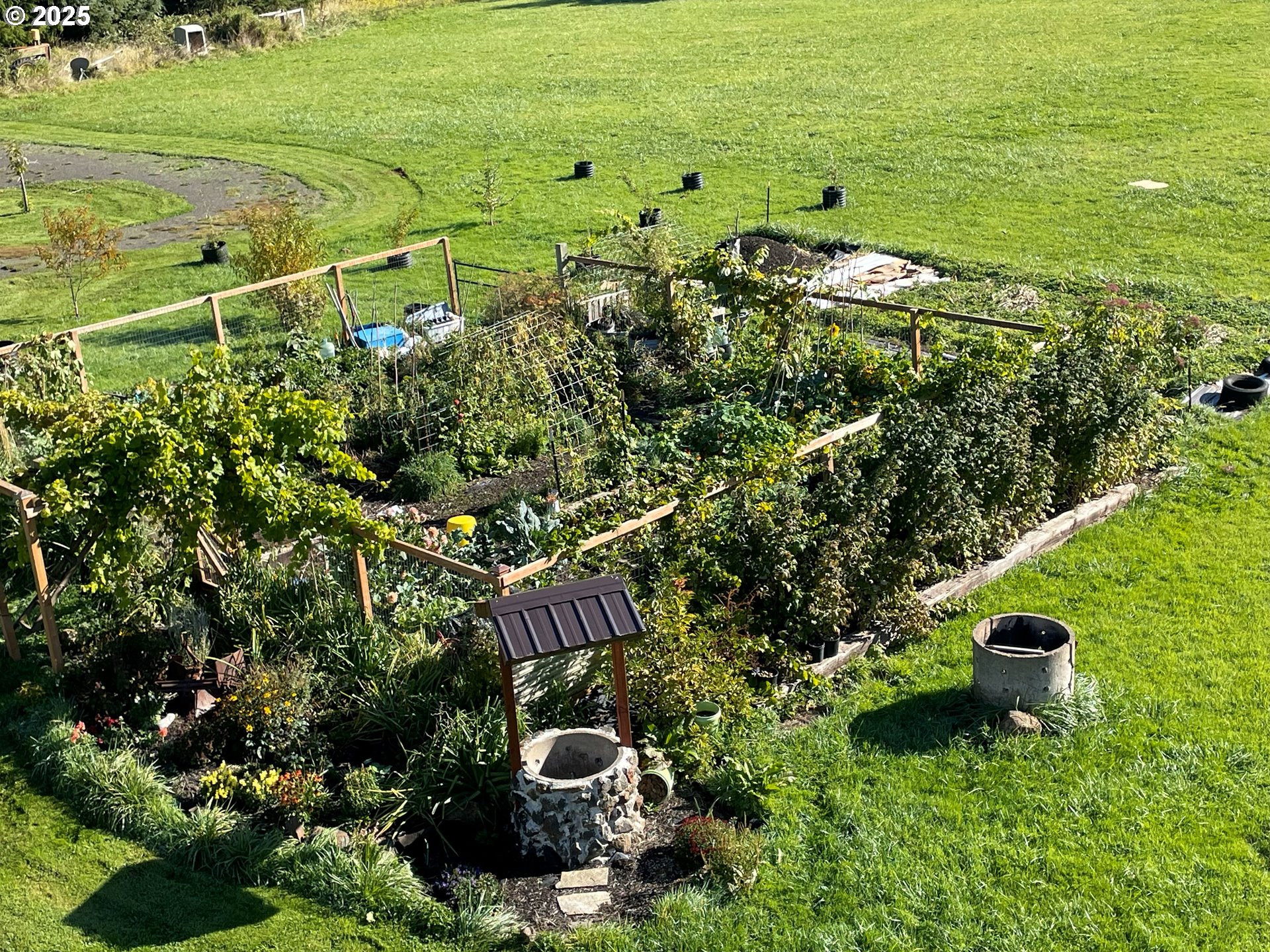 314 East Valley Road Skamokawa, WA 98647 - Photo 31 of 46 a view of a garden with an ocean and trees