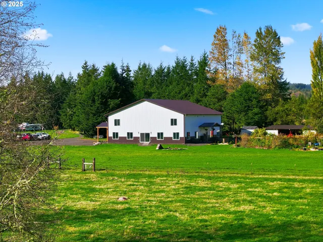 a view of a backyard with a garden and plants