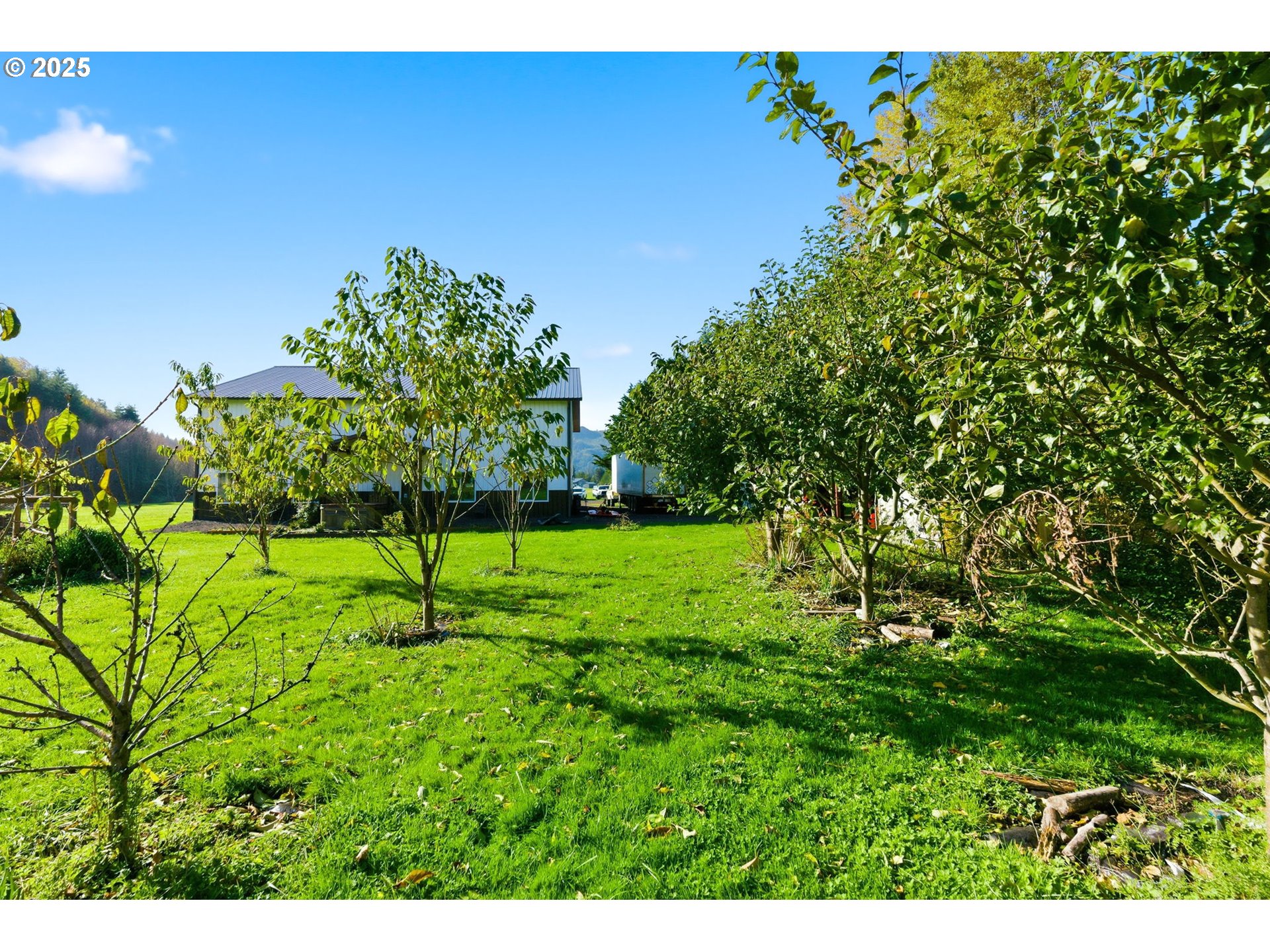 314 East Valley Road Skamokawa, WA 98647 - Photo 36 of 46 a view of a yard with a tree