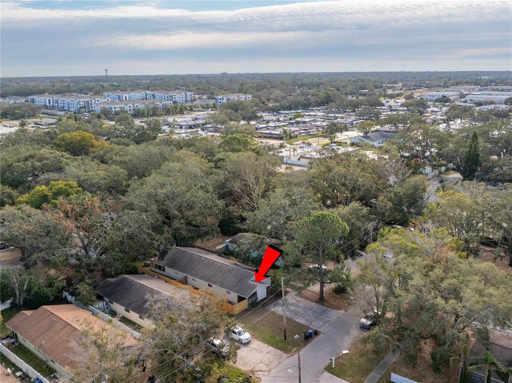 427 2nd Avenue Dunedin, FL 34698 - Photo 14 of 15