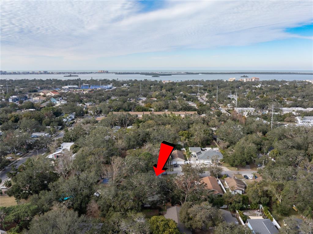 427 2nd Avenue Dunedin, FL 34698 - Photo 15 of 15