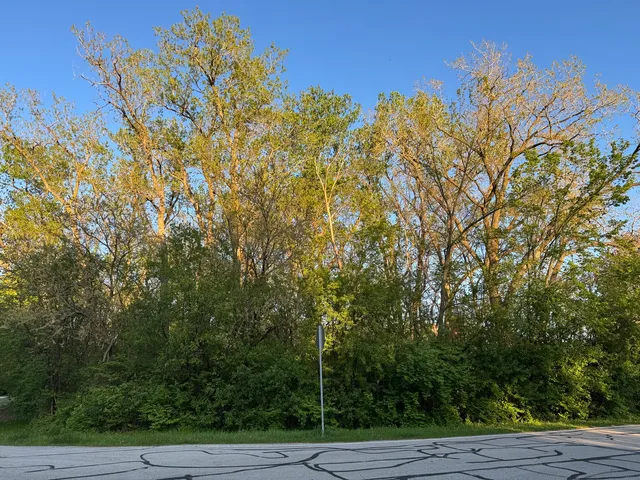 a view of outdoor space with deck and yard