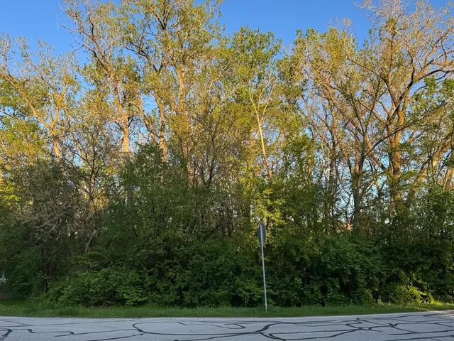 a view of balcony with wooden floor