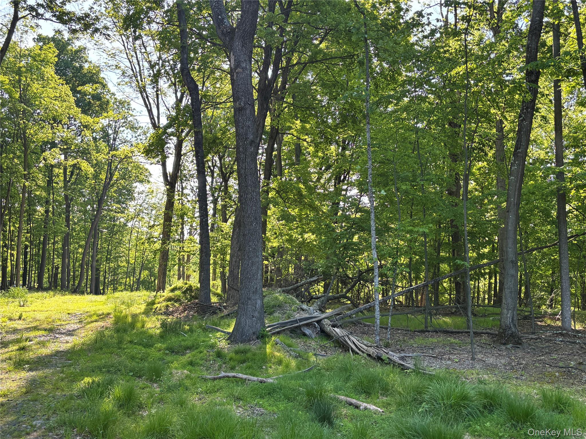South Plank Road Westtown, NY 10998 - Photo 10 of 14