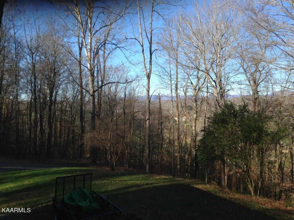 1139 Ridgeview Drive Clinton, TN 37716 - Photo 3 of 37 imagejpeg_0(9)
