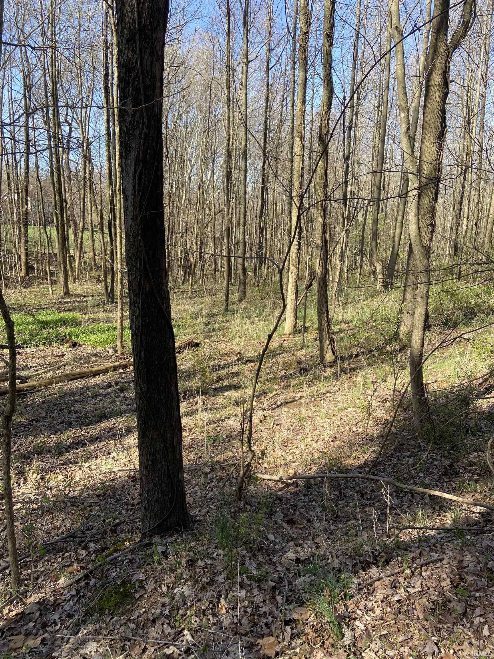 North Backbone Lane Jasper, IN 47546 - Photo 2 of 9