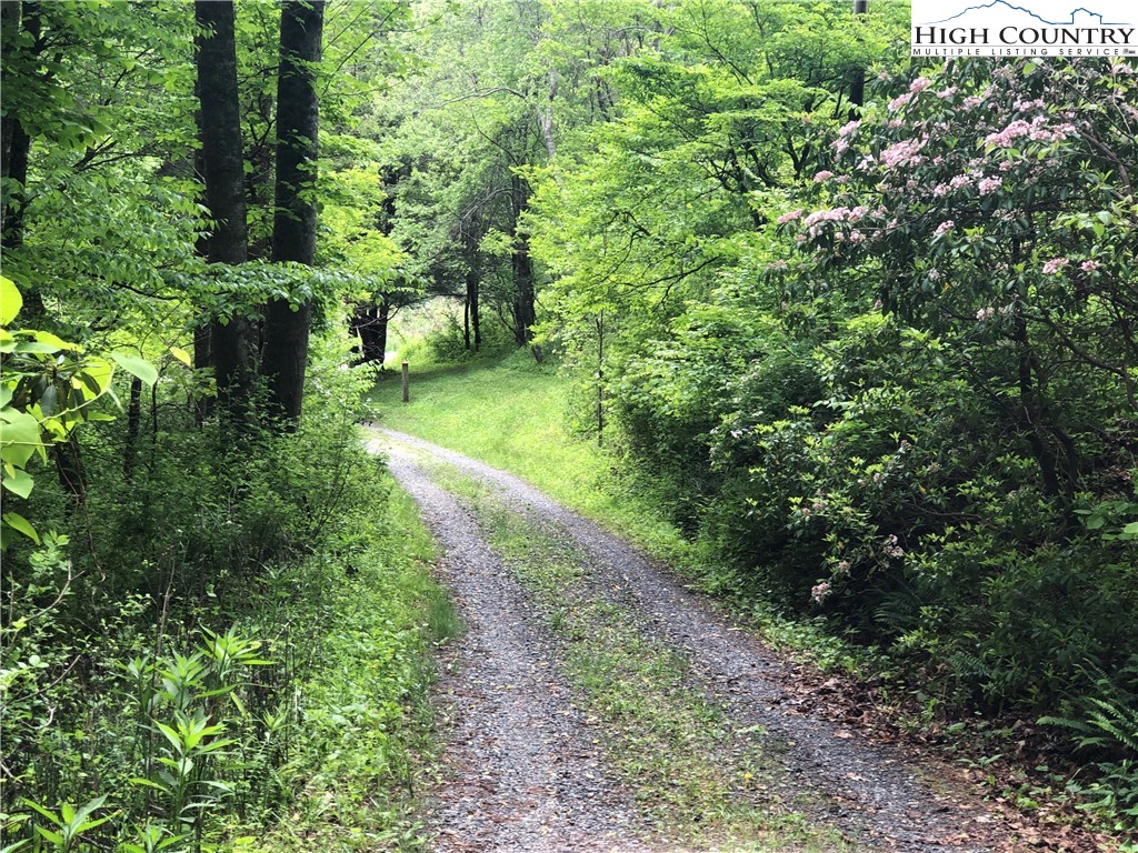 0 Chinquapin Ridge Road Scottville, NC 28672 - Photo 1 of 19 Gallery Image 1