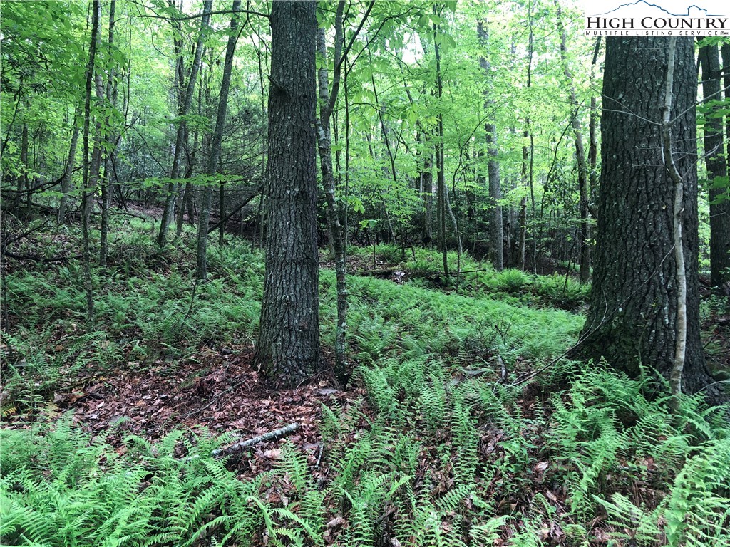 0 Chinquapin Ridge Road Scottville, NC 28672 - Photo 11 of 19 Gallery Image 11