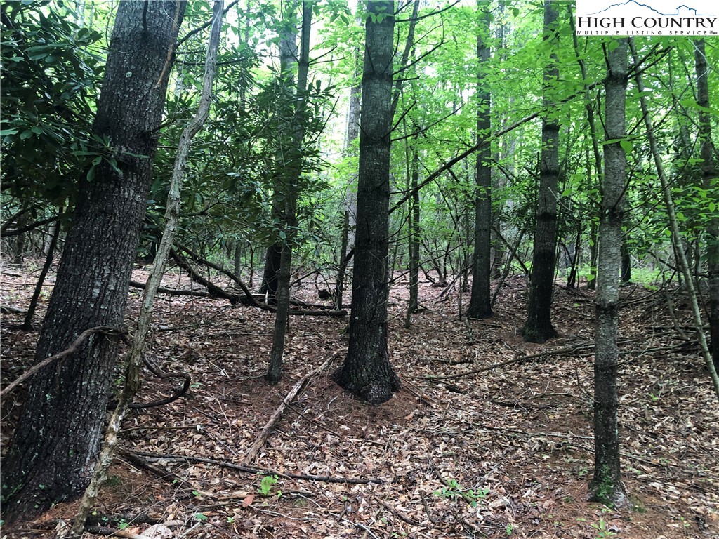 0 Chinquapin Ridge Road Scottville, NC 28672 - Photo 4 of 19 Gallery Image 4