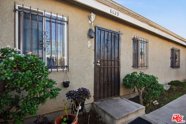 a potted plant sitting in front of a house