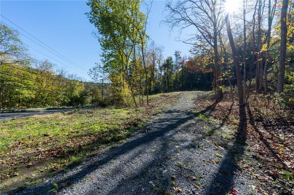 0 Spring Run Rd Extension Coraopolis, PA 15108 - Photo 3 of 8 a view of a yard with plants and trees
