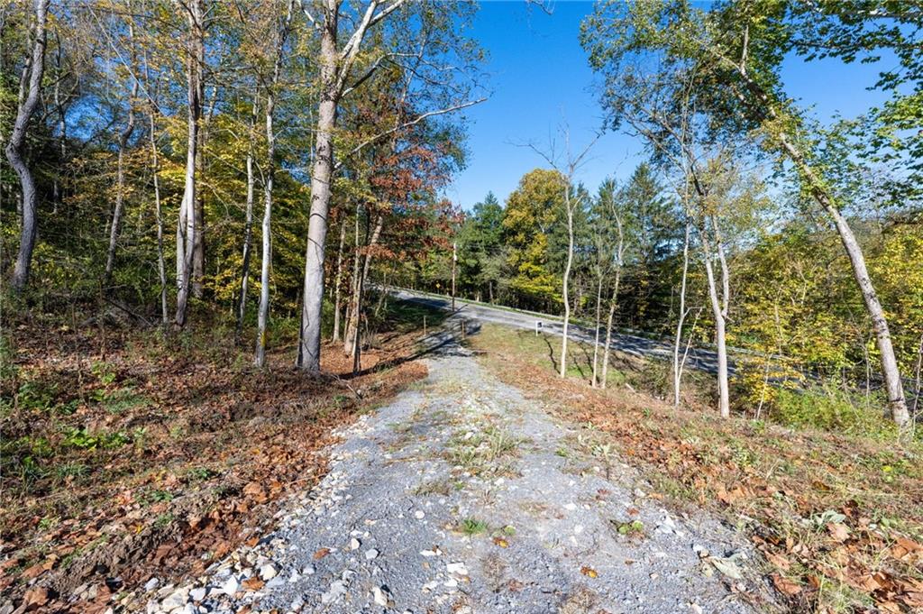 0 Spring Run Rd Extension Coraopolis, PA 15108 - Photo 4 of 8 a view of a yard with plants and wooden fence