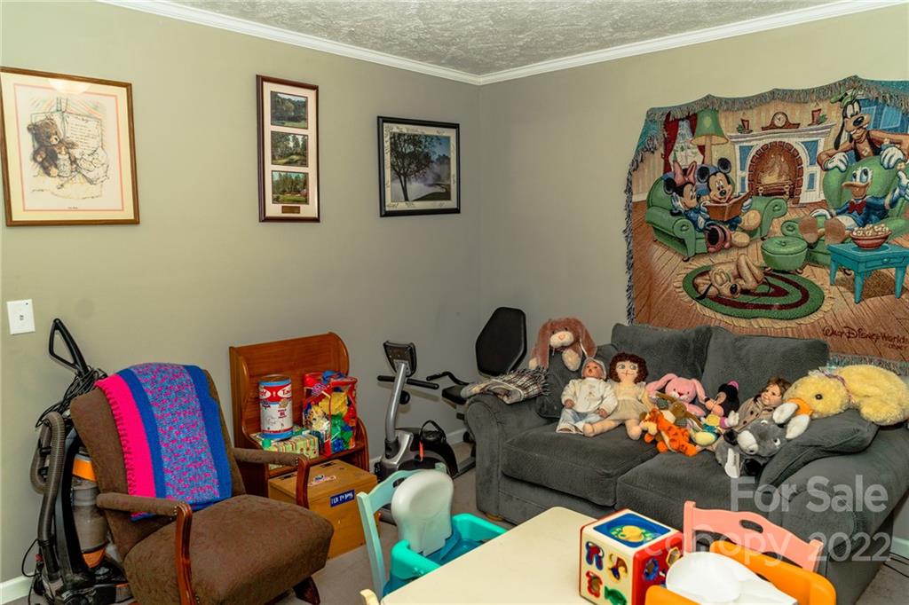 1061 Eupeptic Springs Road Olin, NC 28660 - Photo 20 of 28 Gallery Image 20
