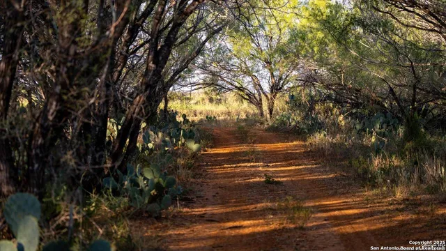 a view of outdoor space with trees