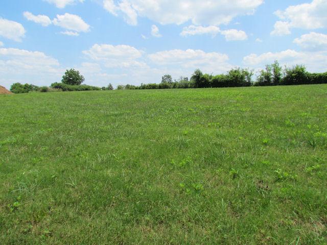 12 Hickory Ridge Road Lebanon, TN 37087 - Photo 1 of 7