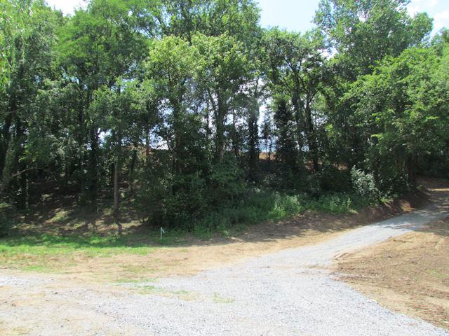 12 Hickory Ridge Road Lebanon, TN 37087 - Photo 3 of 7