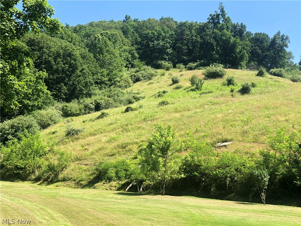 433 Narrow Run Rd Union West Union, WV 26456 - Photo 15 of 21 Gallery Image 15