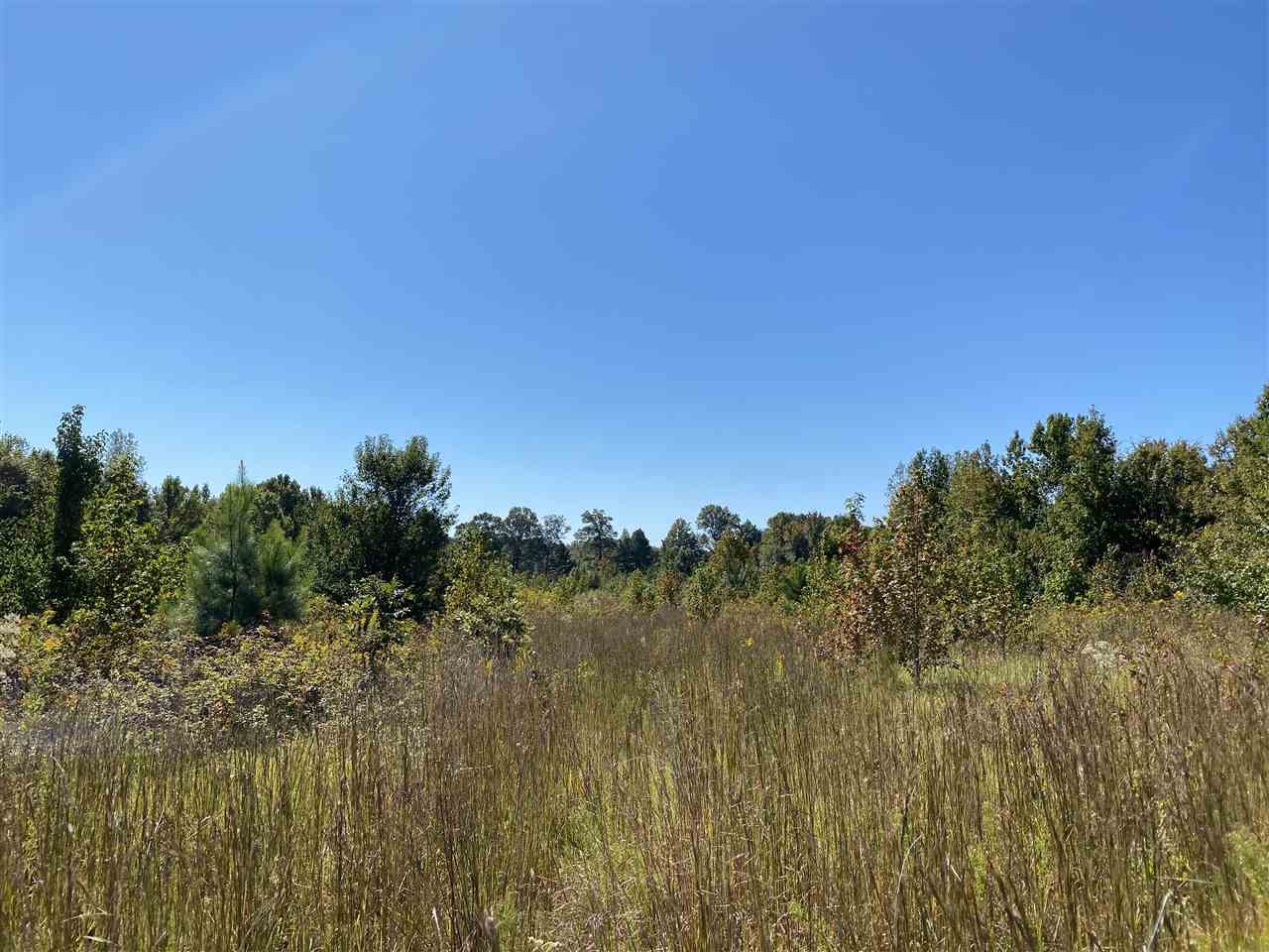 0 Sanders Road, Unit 6 Enid, MS 38927 - Photo 2 of 4 Photo 2