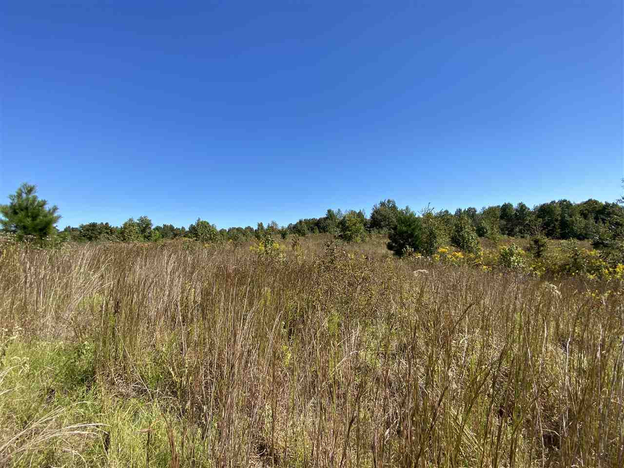 0 Sanders Road, Unit 6 Enid, MS 38927 - Photo 3 of 4 Photo 3