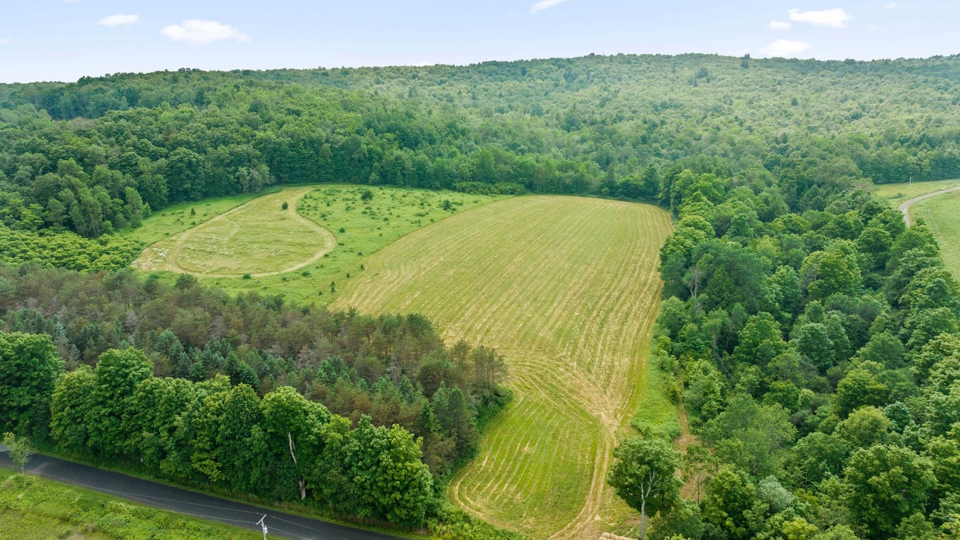 375 Ticknor Brook Road Whitney Point, NY 13862 - Photo 1 of 15