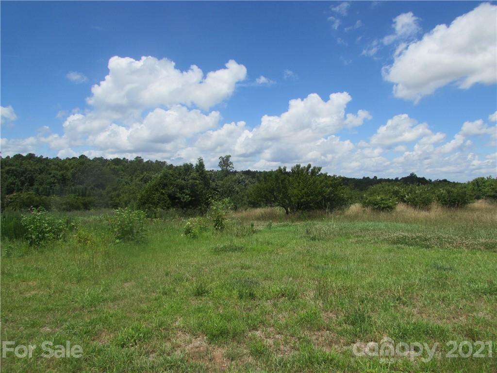 6100 White Store Pageland Road Marshville, NC 28103 - Photo 1 of 3 a view of lake with green space