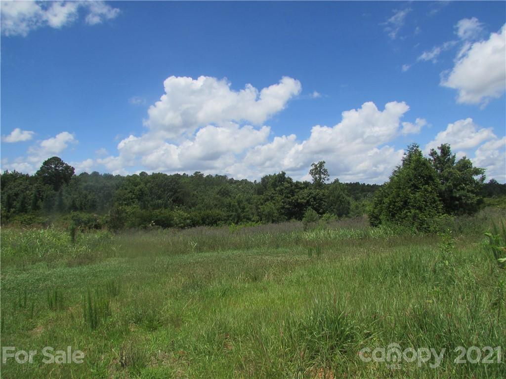 6100 White Store Pageland Road Marshville, NC 28103 - Photo 2 of 3 a view of outdoor space with green field and trees