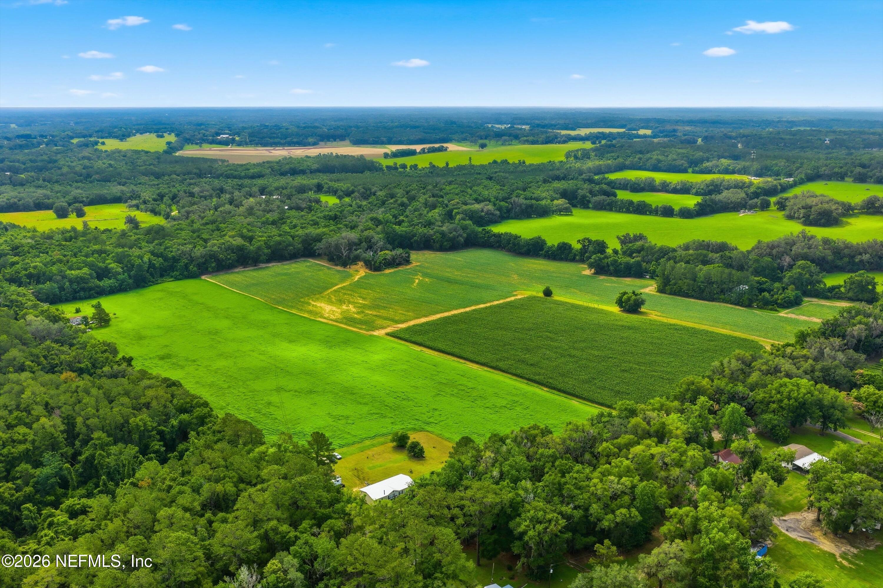 25417 Old Bellamy Road High Springs, FL 32643 - Photo 13 of 16 12-Aerial View