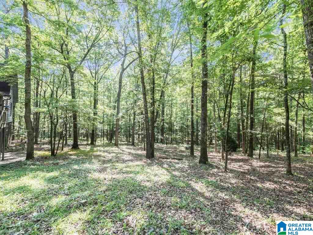 22461 Rosser Lane McCalla, AL 35111 - Photo 32 of 33