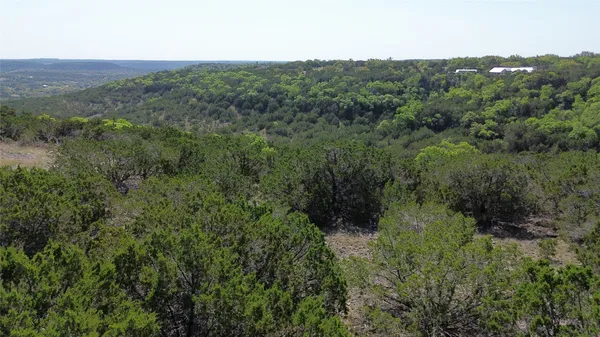 a view of a lush green forest with trees and some houses