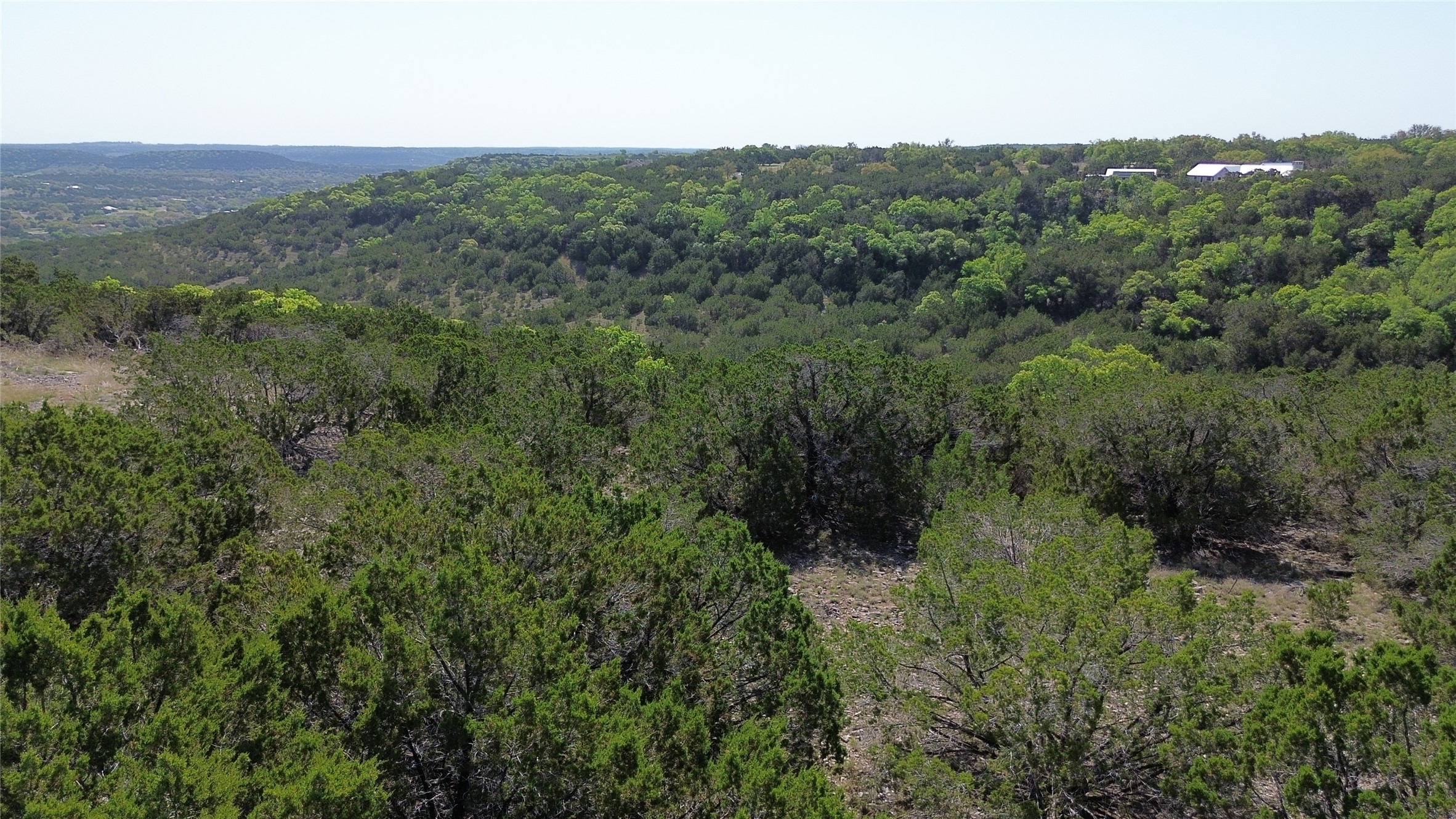 Lot 53 Balcones Ridge Way Bertram, TX 78605 - Photo 1 of 18 a view of a lush green forest with trees and some houses