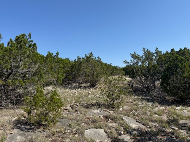 Lot 53 Balcones Ridge Way Bertram, TX 78605 - Photo 12 of 18 a view of a field with a tree in the background