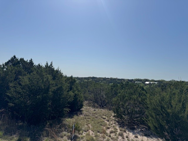 Lot 53 Balcones Ridge Way Bertram, TX 78605 - Photo 13 of 18 a view of a yard with a tree