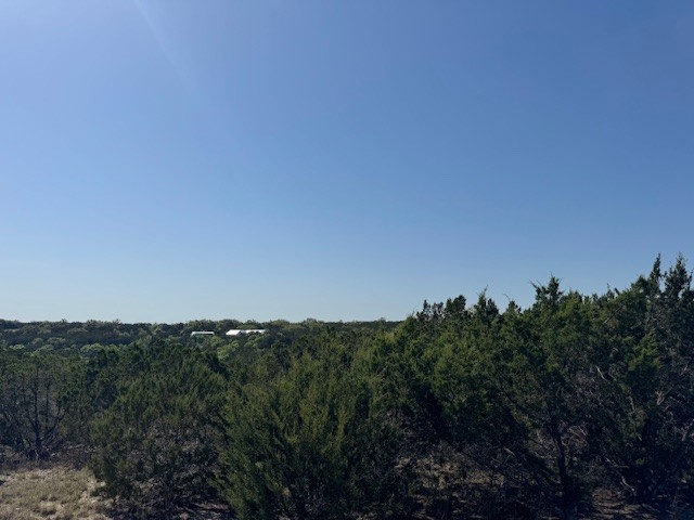 Lot 53 Balcones Ridge Way Bertram, TX 78605 - Photo 15 of 18 a view of a bunch of trees in a field