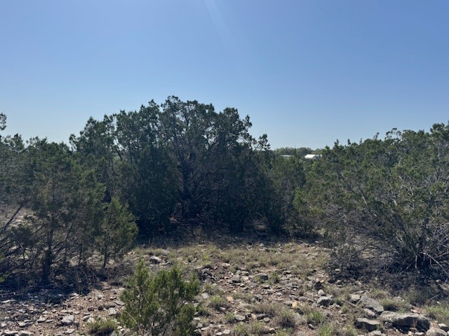 Lot 53 Balcones Ridge Way Bertram, TX 78605 - Photo 16 of 18 a view of a yard