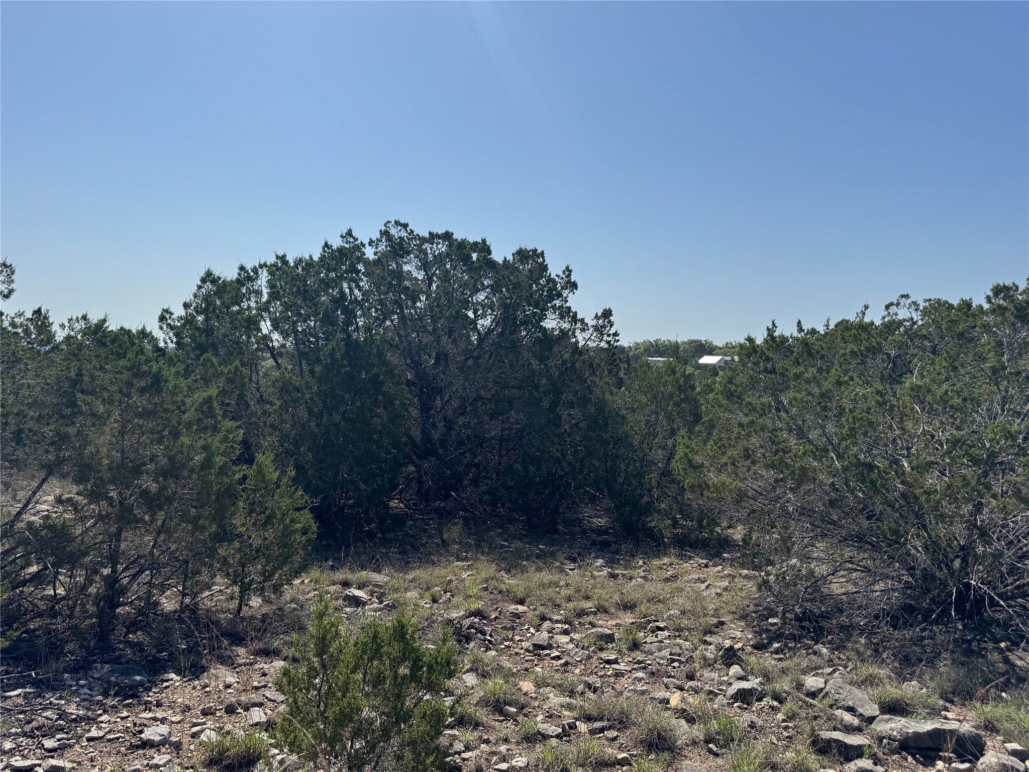 Lot 53 Balcones Ridge Way Bertram, TX 78605 - Photo 5 of 18 a view of a yard
