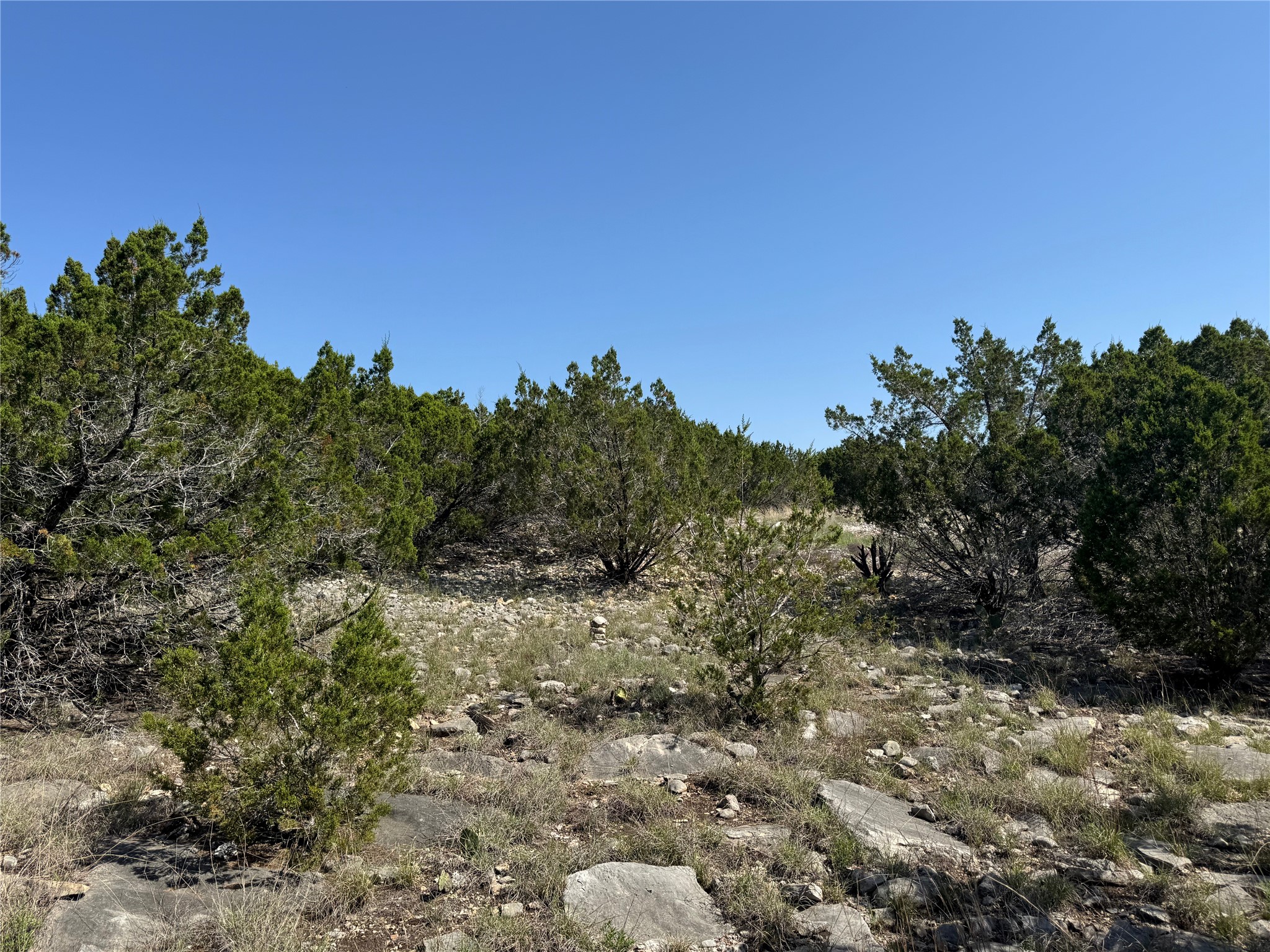Lot 53 Balcones Ridge Way Bertram, TX 78605 - Photo 8 of 18 a view of a bunch of trees in a field